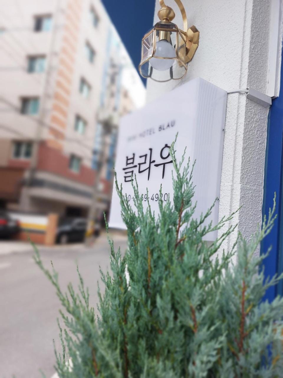 BLAU Korean Local Experience Stay Bed and Breakfast in South Korea