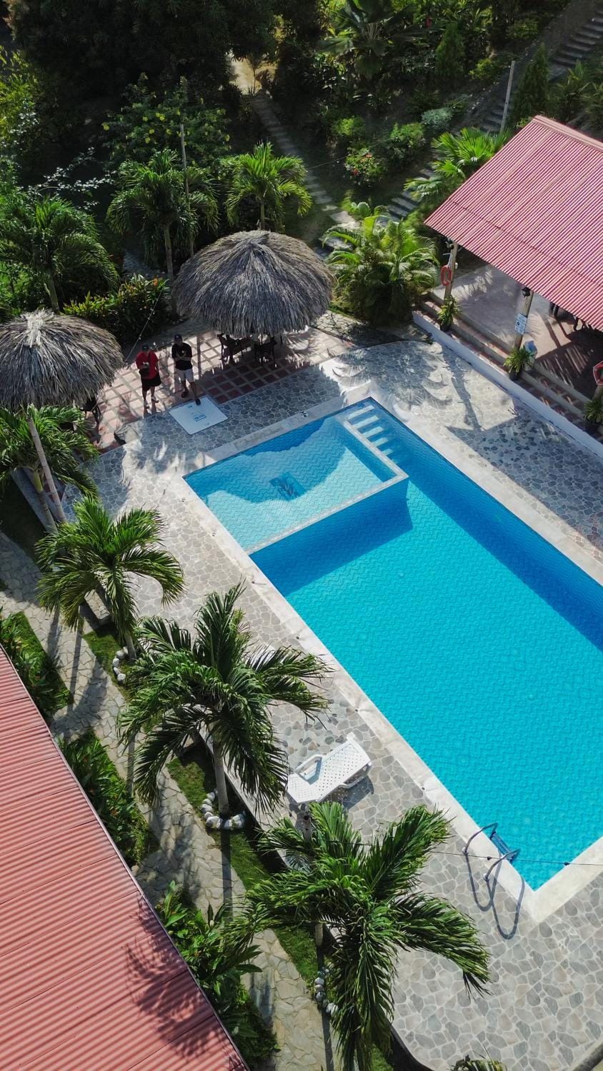 Garden, Pool view, Swimming pool