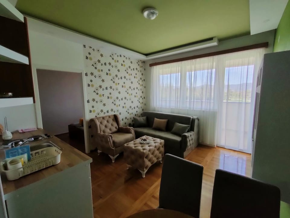 Apartman Zelenika Apartment in Bosnia and Herzegovina