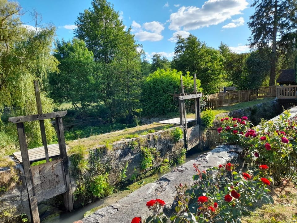 Garden, River view