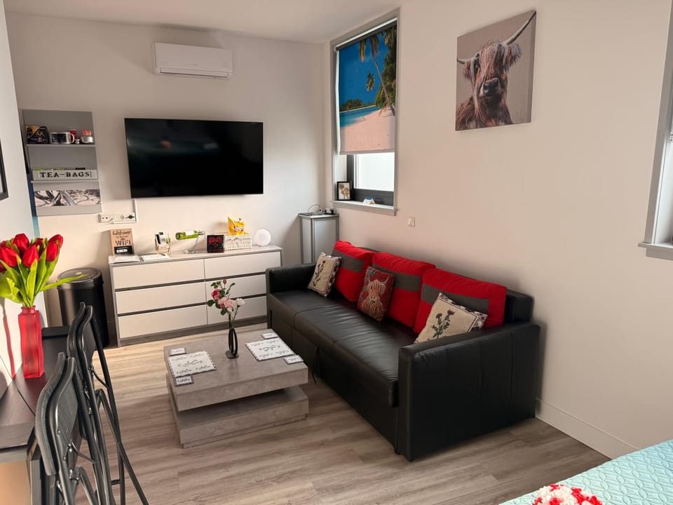 Scottish Thistle Apartment in Zandvoort