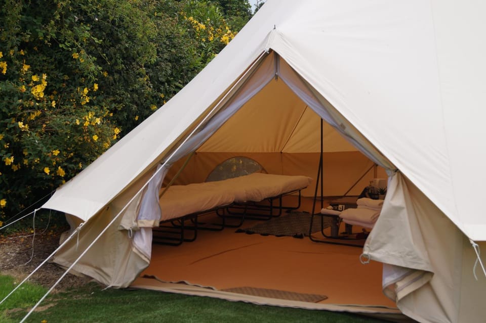 Dartmoor Halfway Campsite Luxury tent in Teignbridge