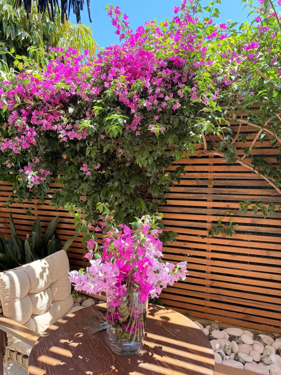 Carmena Residence Apartment in Skala
