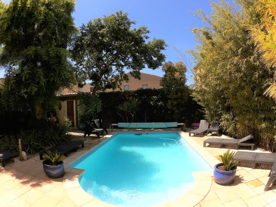 Solarium, Pool view, Swimming pool, sunbed