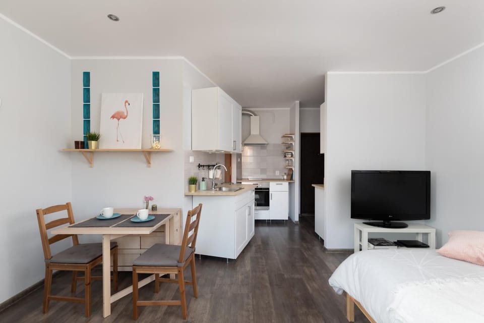 Nowolipki Cozy Studio Apartment in Warsaw