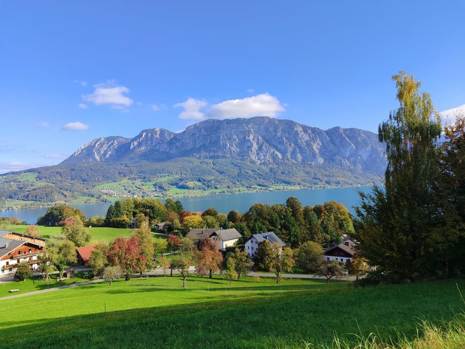 Ferienwohnung Grubinger Apartment in Salzburgerland