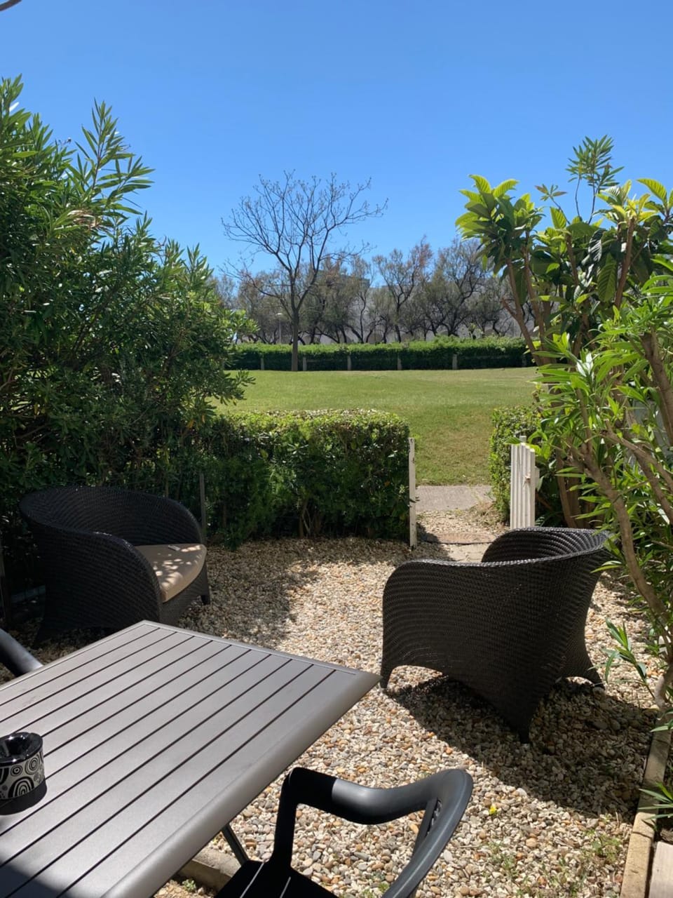 Day, Natural landscape, Garden view