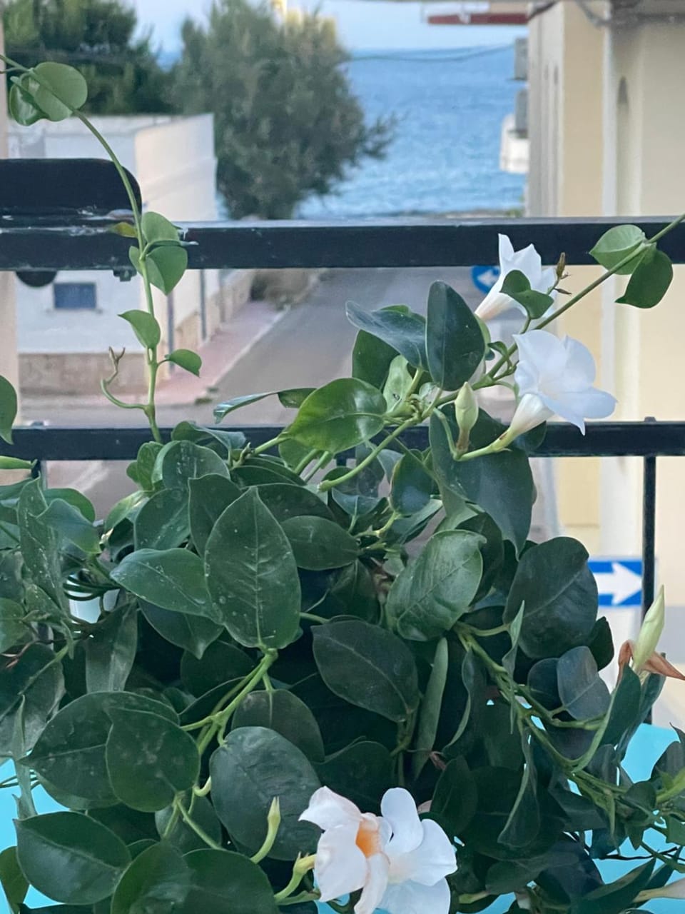 Casa Futura Apartment in Apulia
