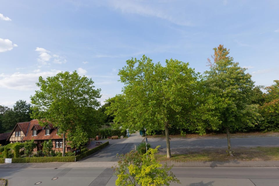 Neighbourhood, Street view