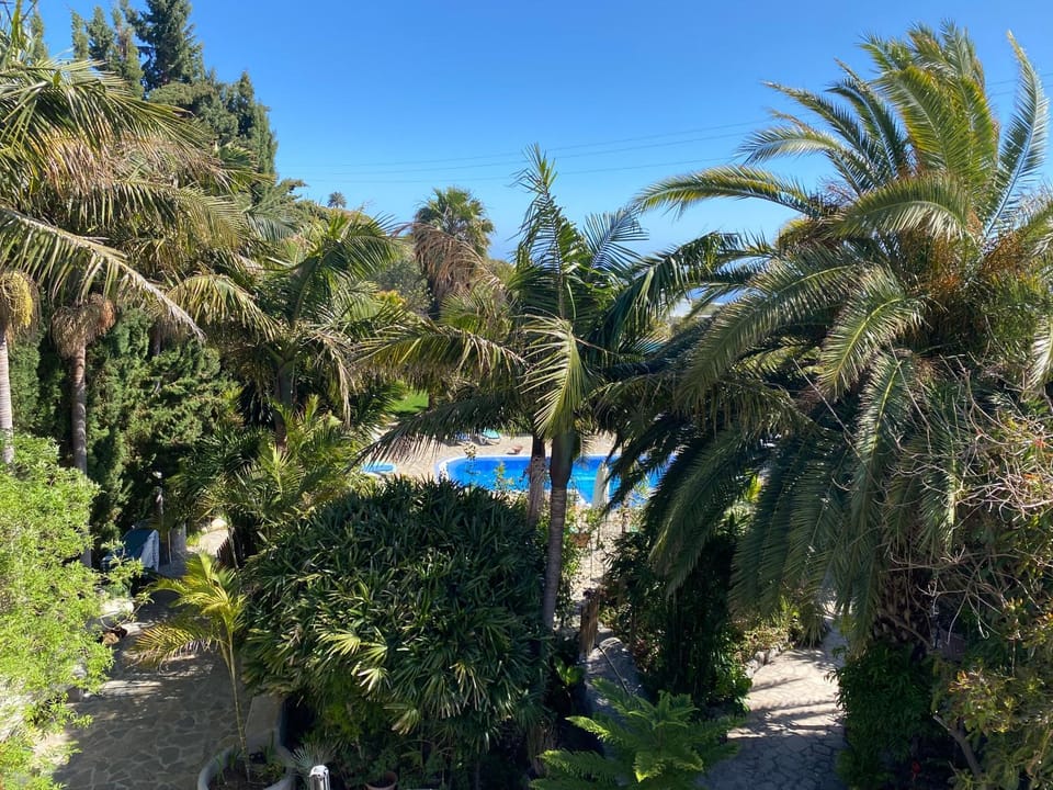 Garden view