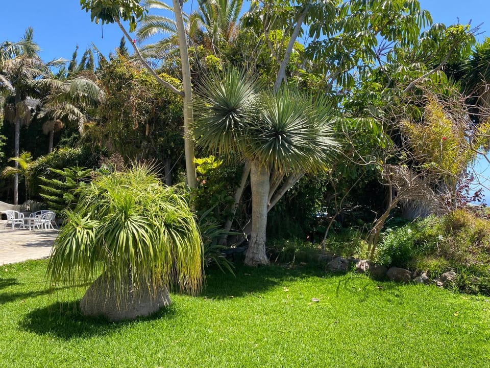 Natural landscape, Garden, Garden view