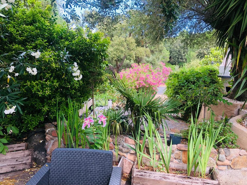 Magnifique villa avec cheminée Villa in Porto-Vecchio
