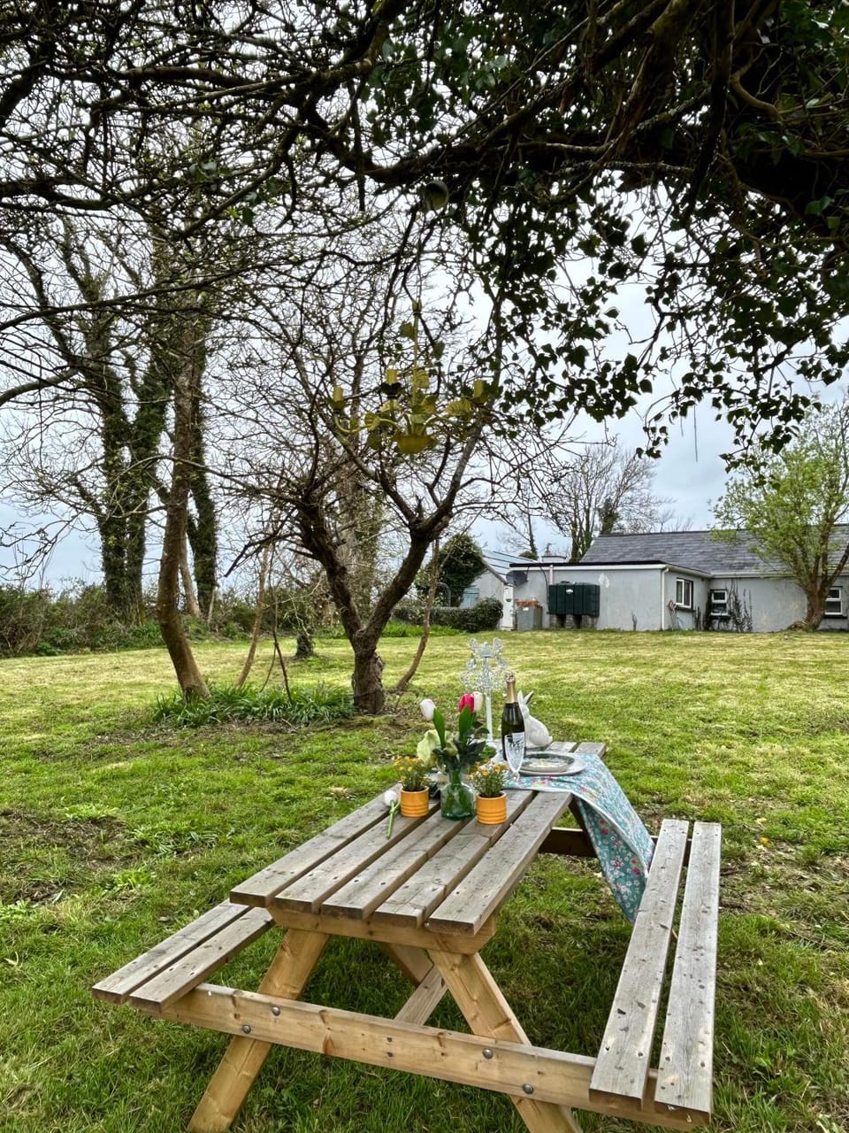 Lemonade Cottages House in County Limerick