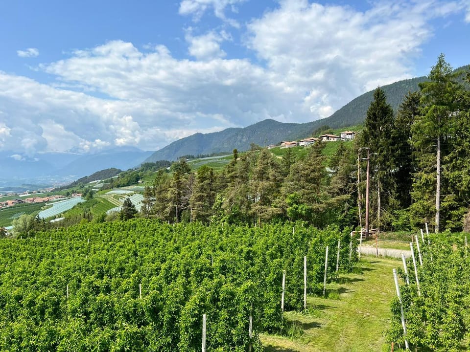 Natural landscape, Mountain view
