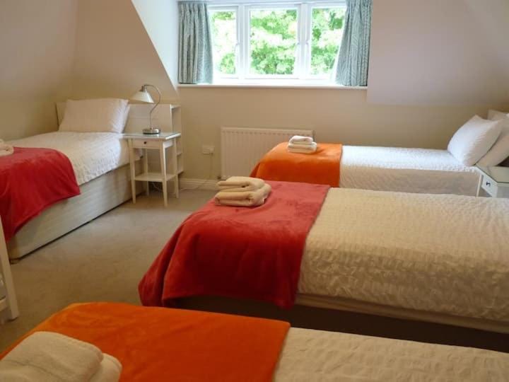 No 51 House in Glastonbury