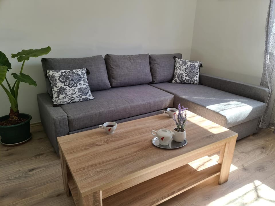 Šimun Apartment in Slovenia