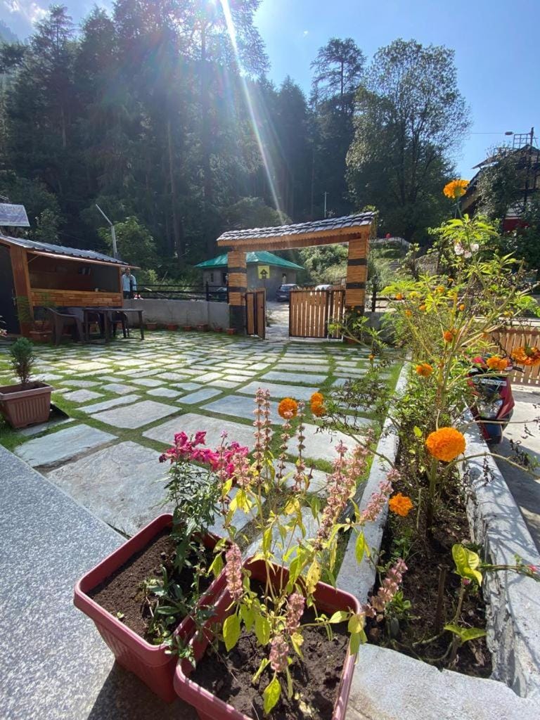 Garden