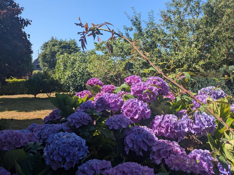 Maison moderne 8 personnes, jardin, parkings, fibre THD, plage 5 min House in Vannes