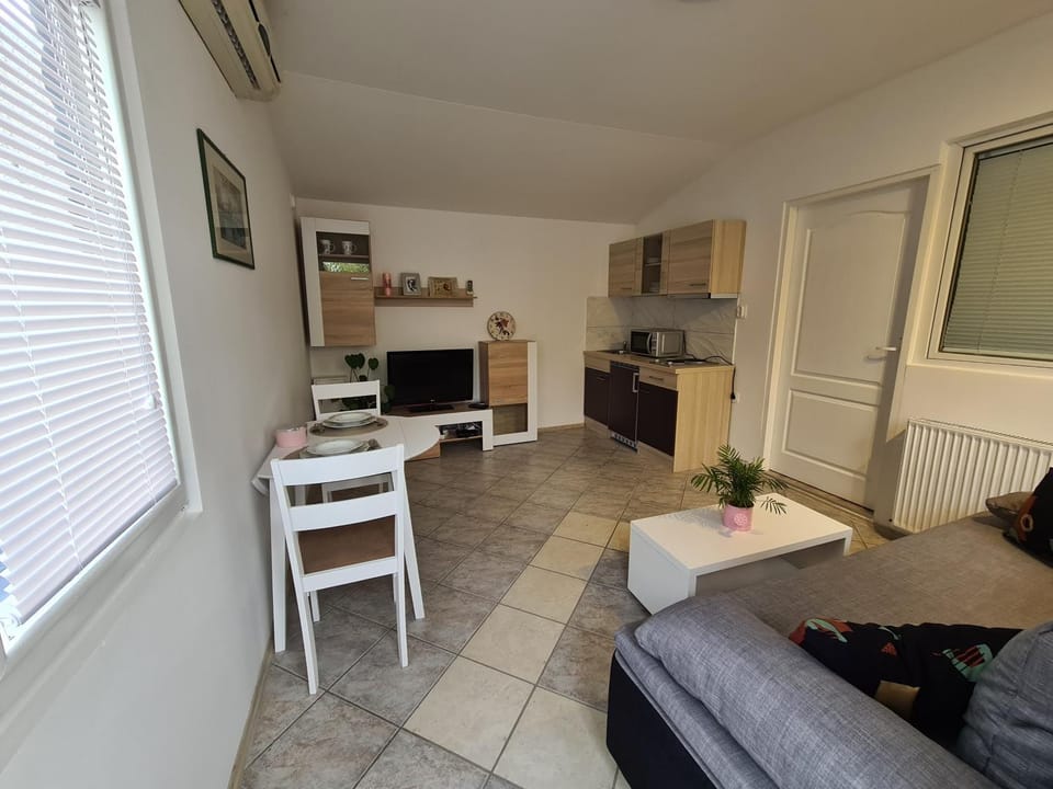 Nikol Apartment in Slovenia