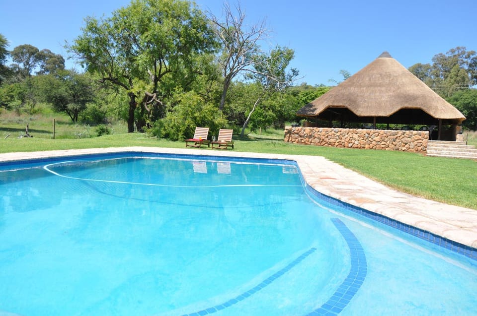 Day, Swimming pool, Swimming pool