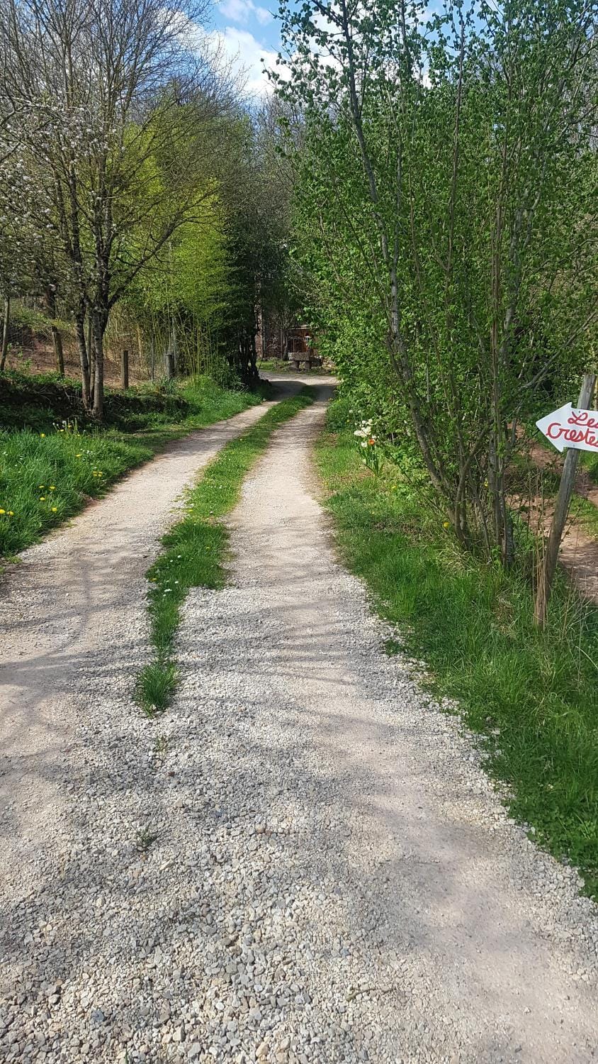 maison isolée dans les vignes et les bois House in Occitanie