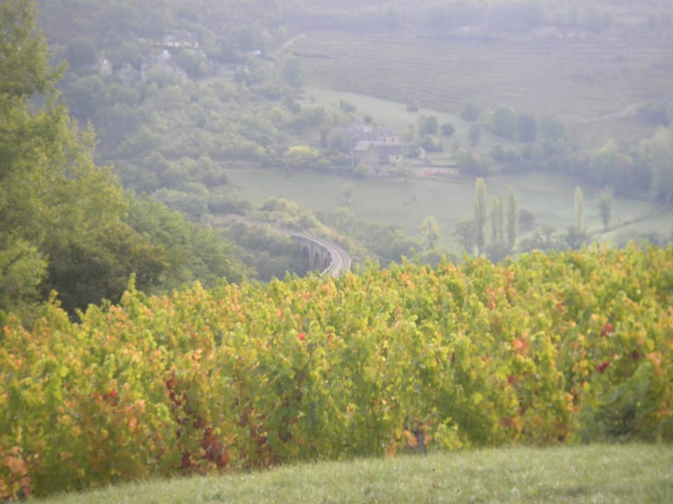 maison isolée dans les vignes et les bois House in Occitanie