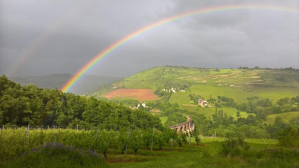 maison isolée dans les vignes et les bois House in Occitanie
