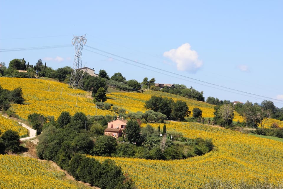 Natural landscape