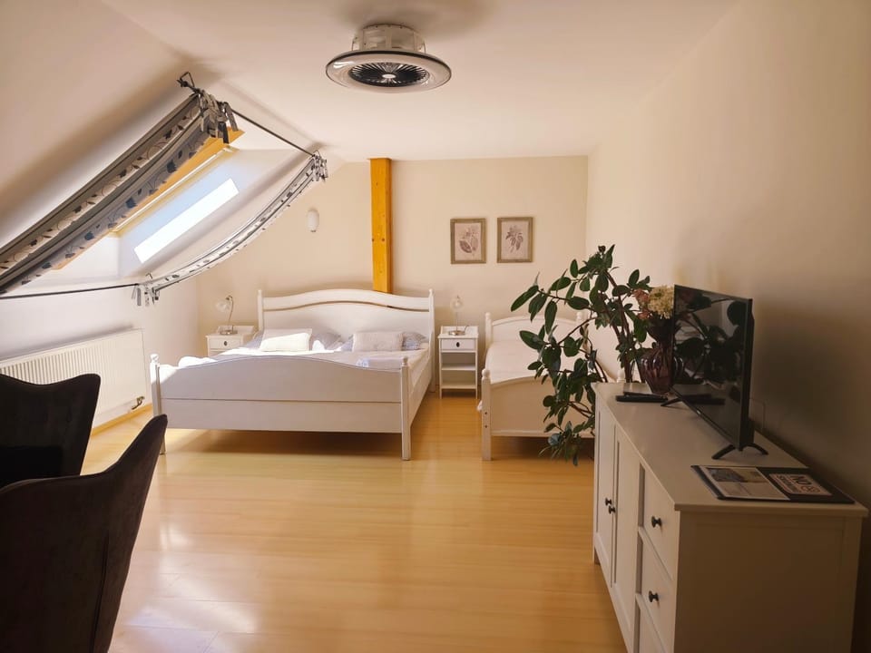 Bed, TV and multimedia