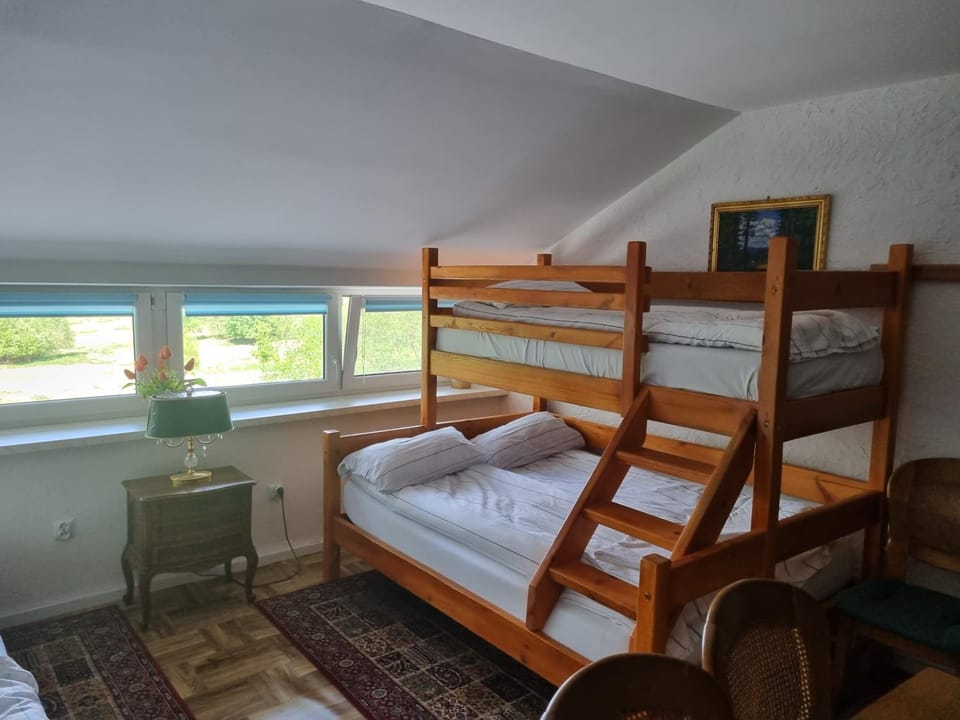 Stara Huta Wielki Dział Apartment in Lviv Oblast