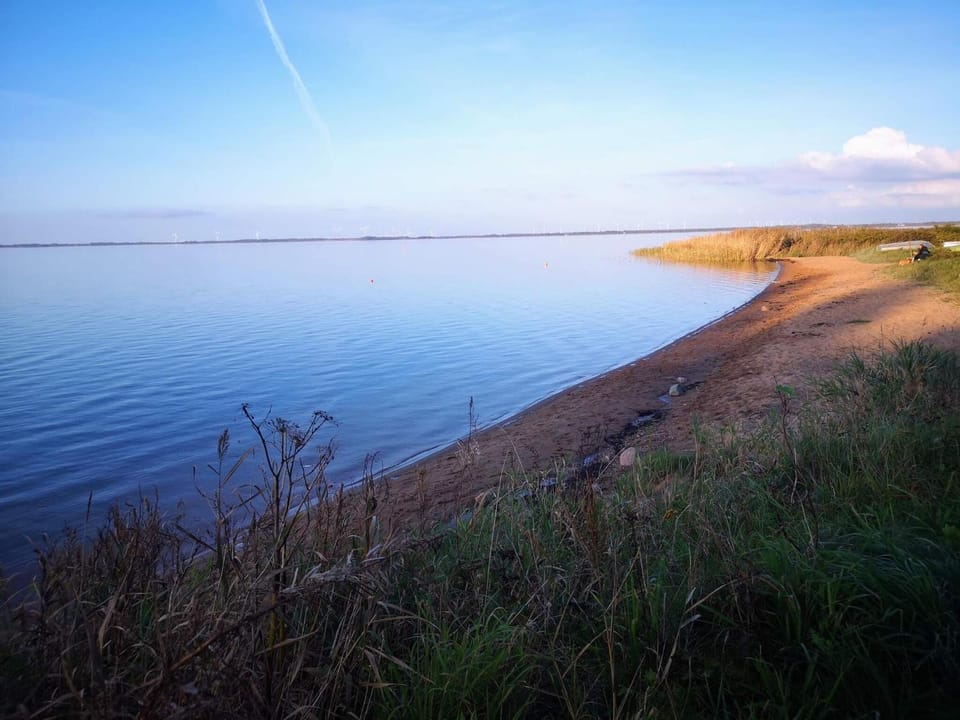 Lake view