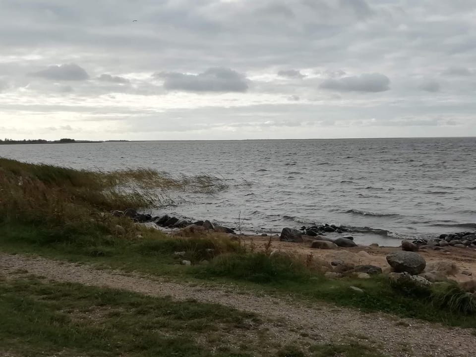 Lake view