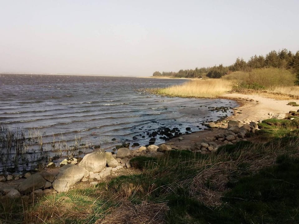 Lake view