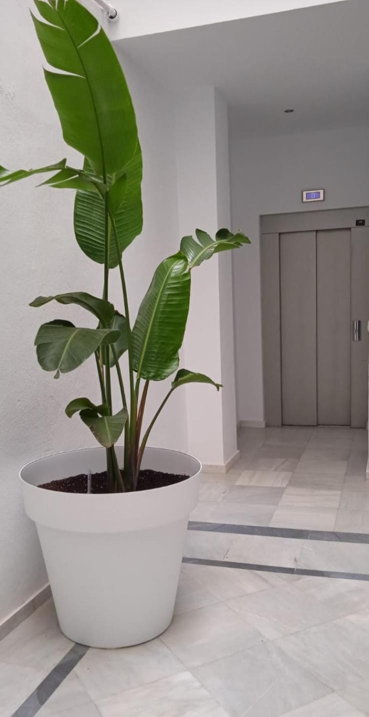 elevator