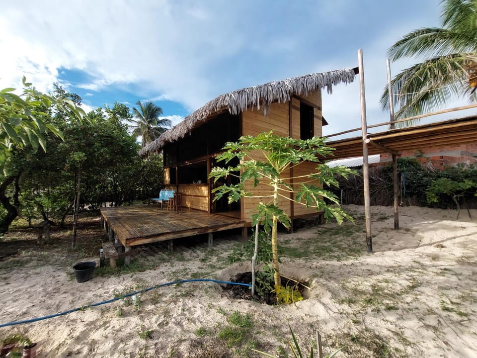 Property building, Natural landscape, Garden view