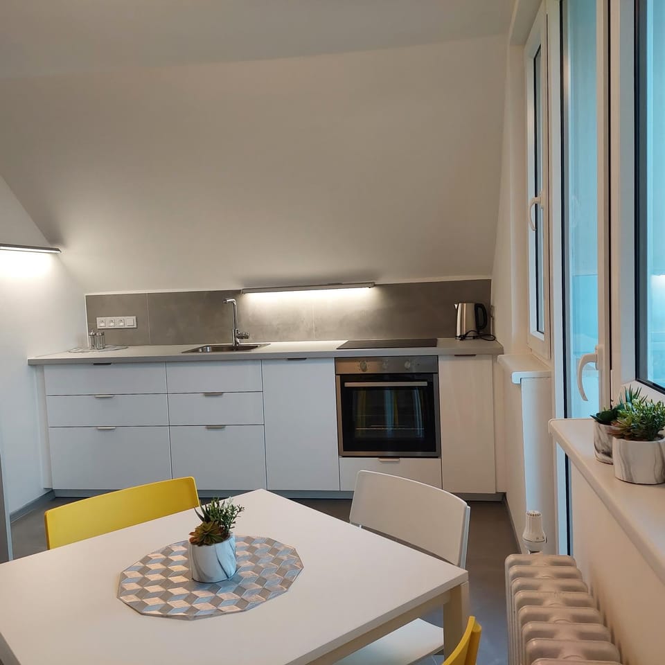 Kitchen or kitchenette, Dining area, oven, stove