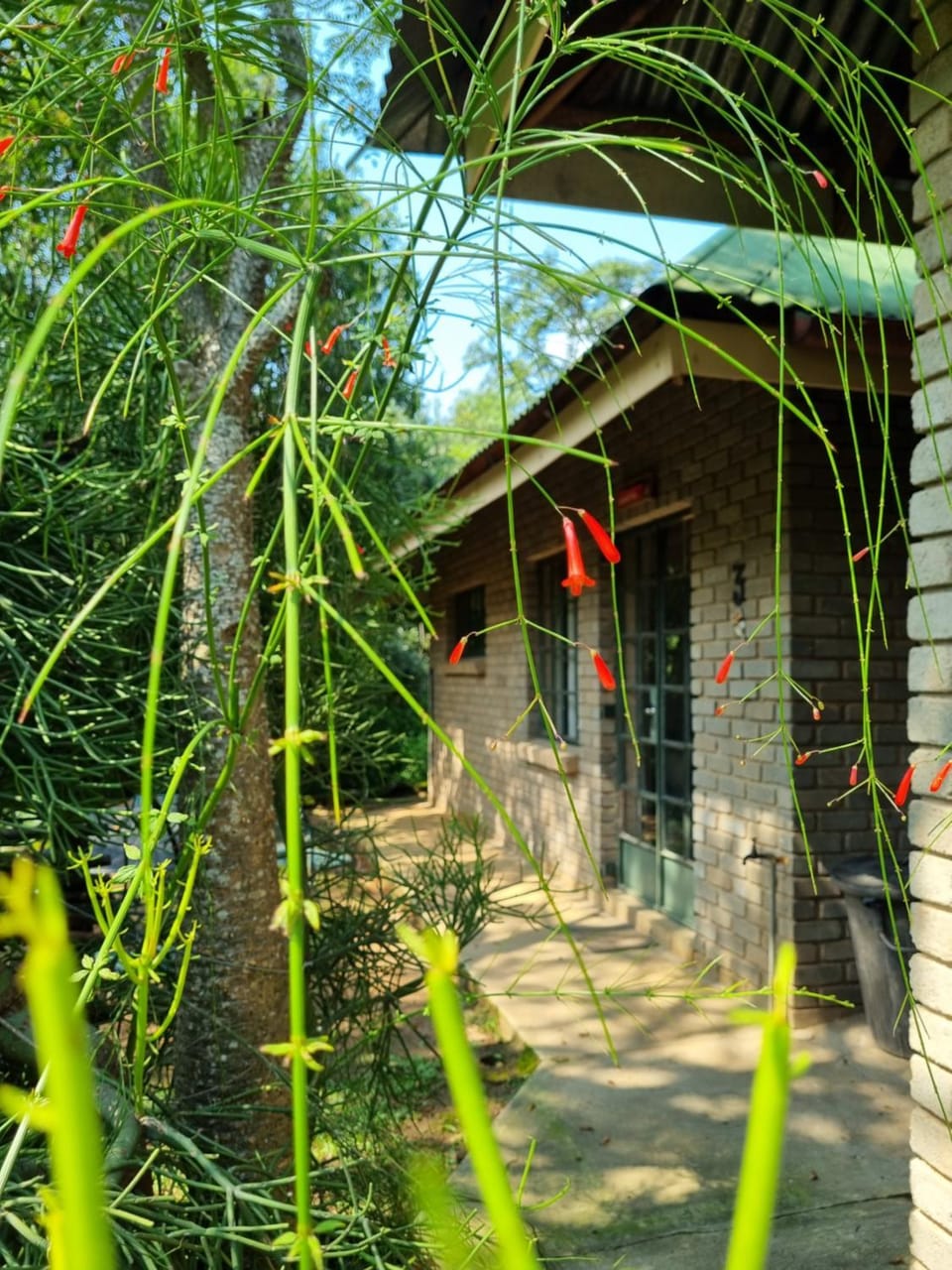 Spring, Garden