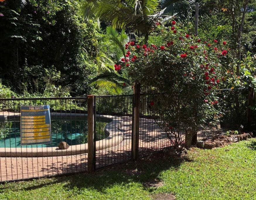 Studio in the Rainforest Apartment in Kuranda