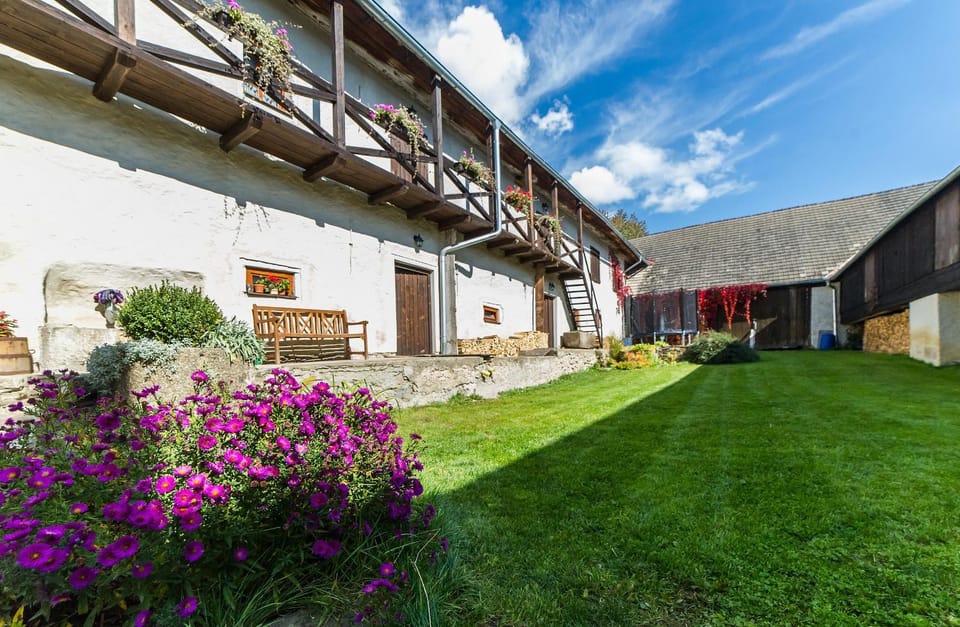 Patio, Garden