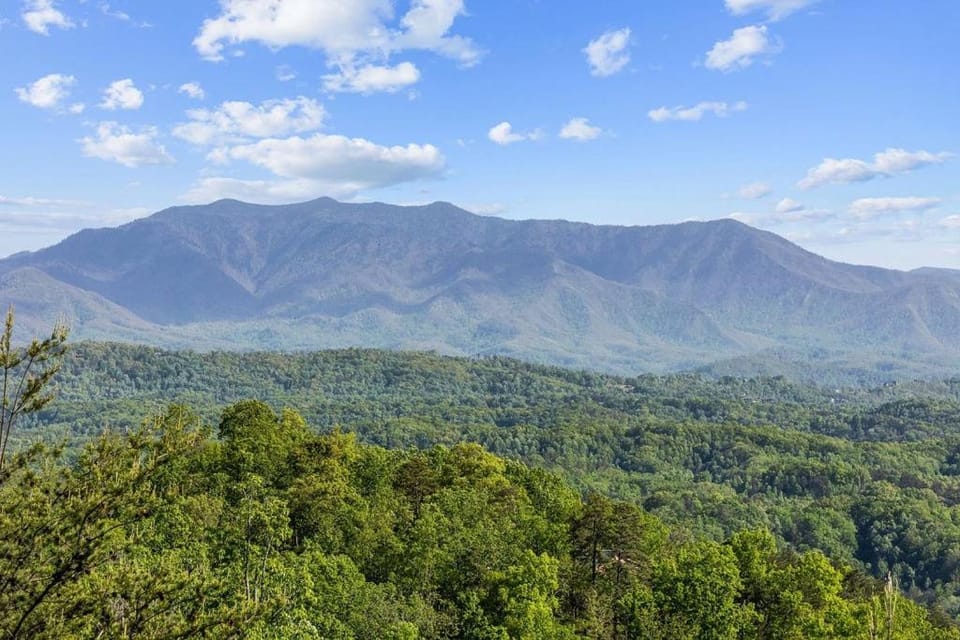 Beauty and the Bear Cabin with Private Hot Tub Cabin in Pigeon Forge