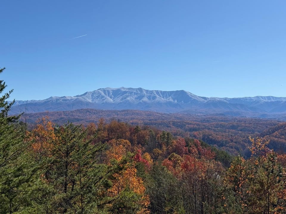 Beauty and the Bear Cabin with Private Hot Tub Cabin in Pigeon Forge