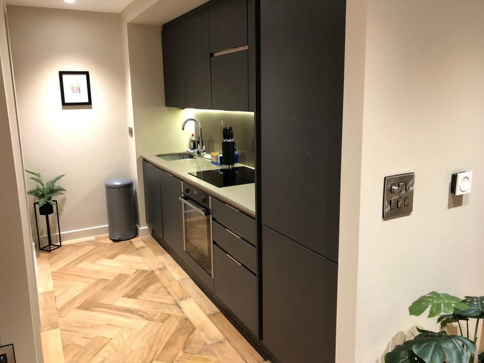 City Centre Luxury studio apartment suite with garden view Apartment in York