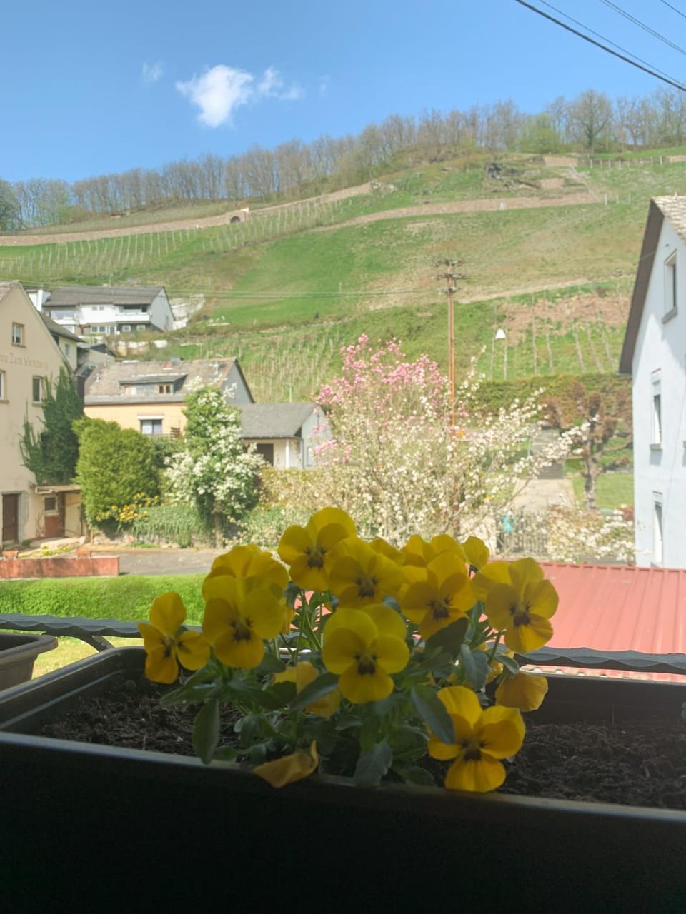 View (from property/room)