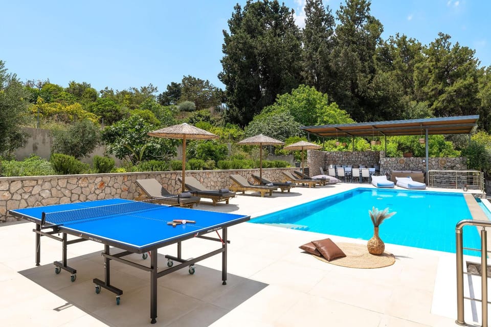 Day, Pool view, Swimming pool, sunbed