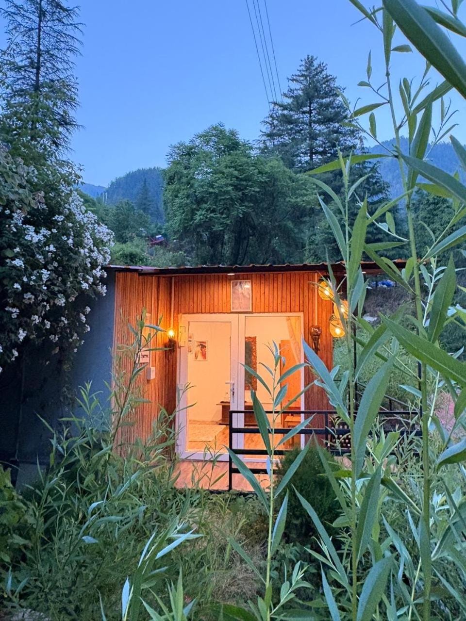 Mystic Vibes - Jibhi Bed and Breakfast in Himachal Pradesh