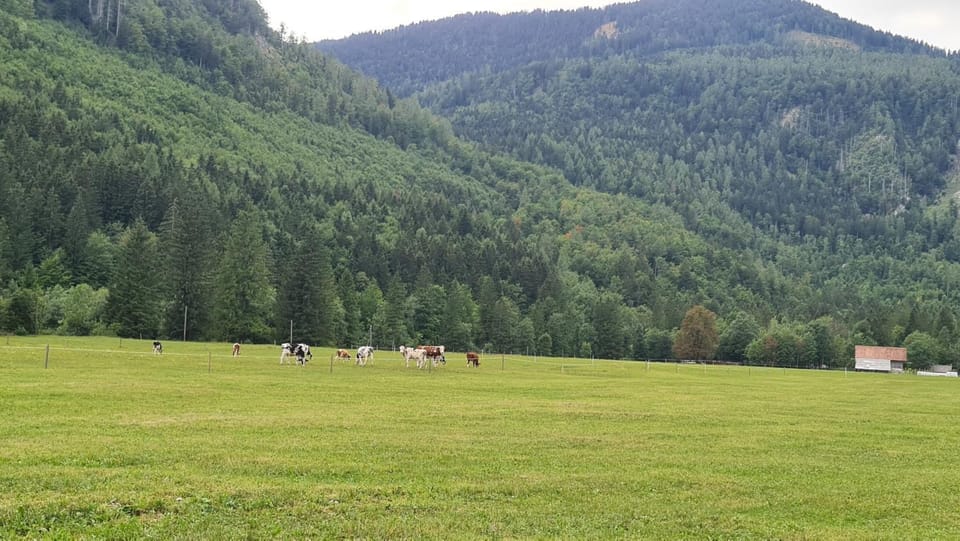 Natural landscape, Hiking