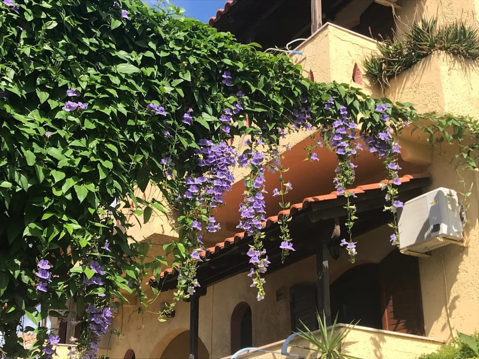 Villa Anna Apartment in Peloponnese, Western Greece and the Ionian