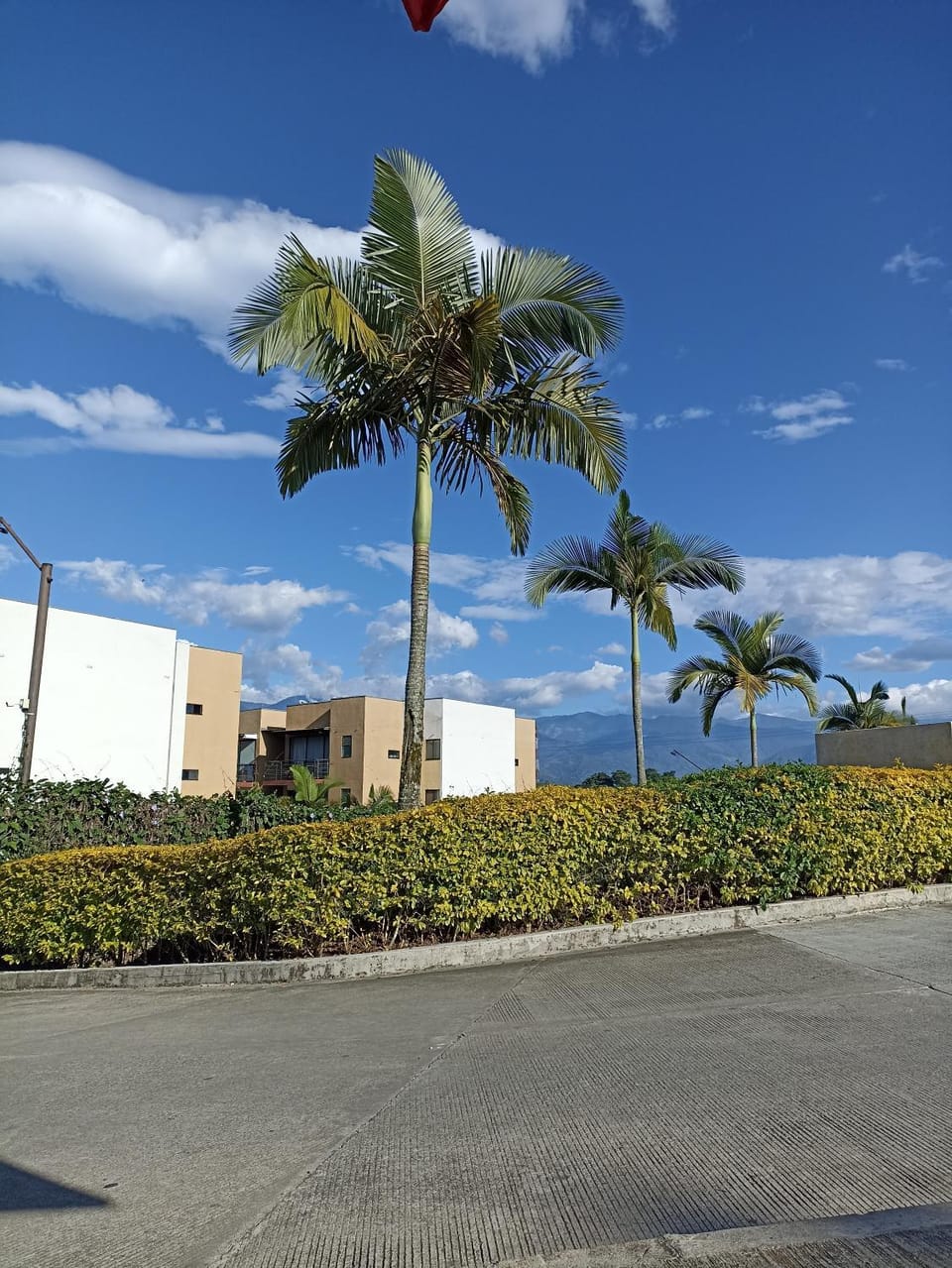 Property building, Day