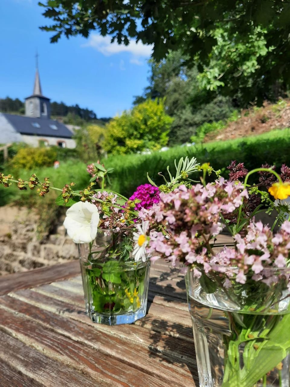 Garden view