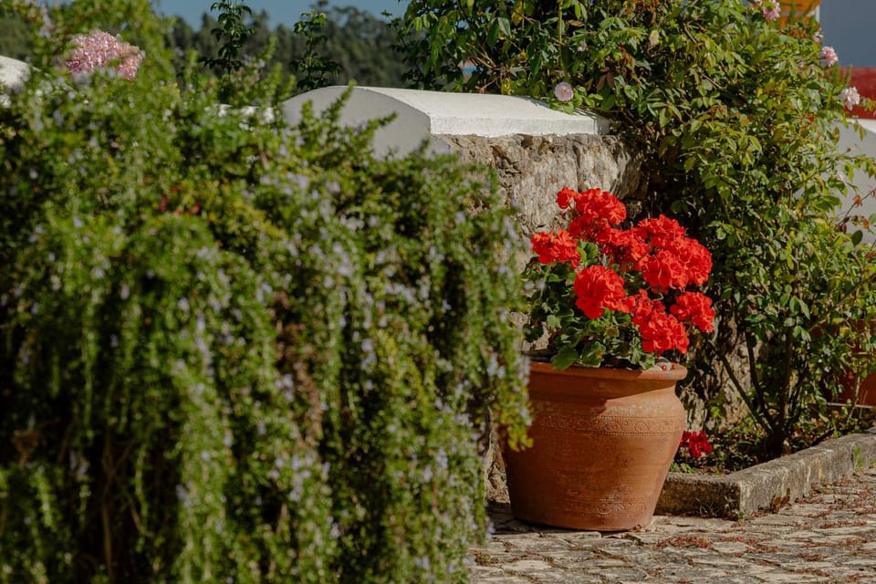 Spring, Garden view